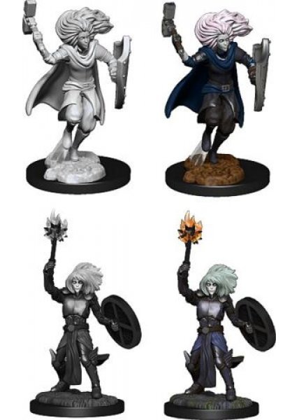 D&D Nolzur's Marvelous Miniatures: Changeling Cleric